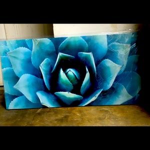 Xl Canvas Wall Art. 40” x20” Blue Agave. New